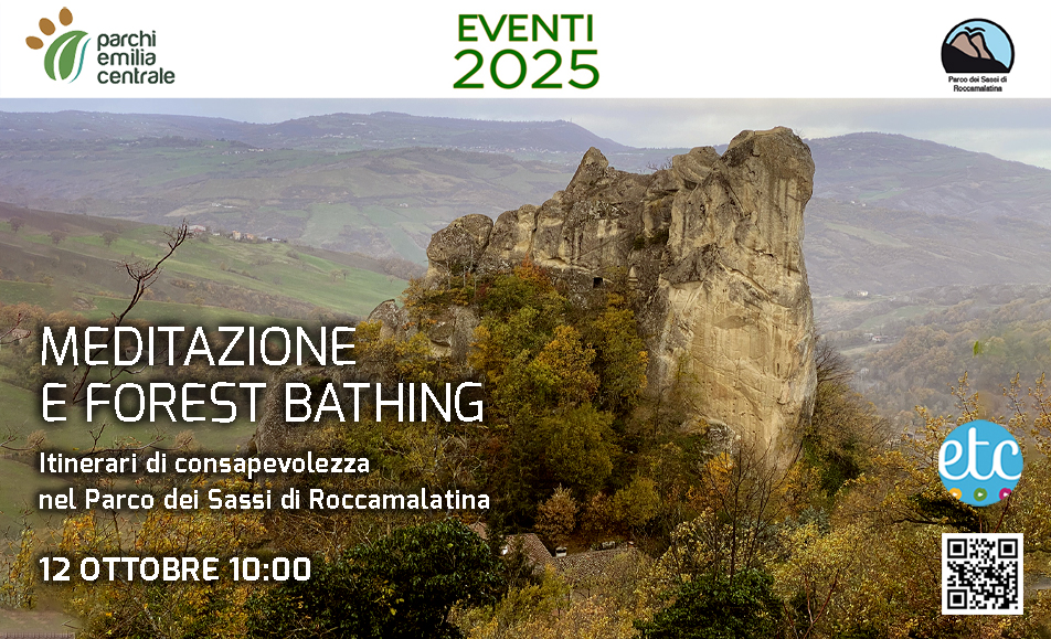 Forest Bathing al Parco dei Sassi di Roccamalatina