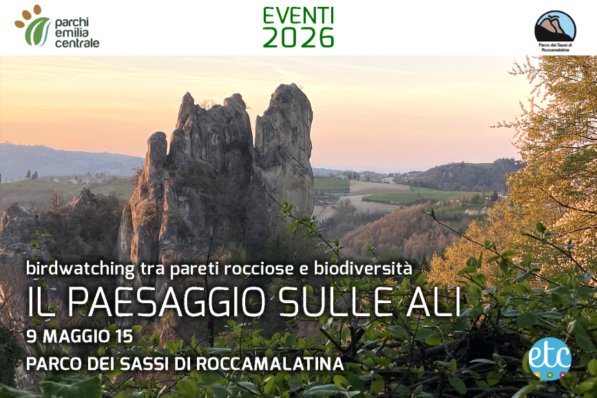 IL PAESAGGIO SULLE ALI: birdwatching tra pareti rocciose e biodiversità