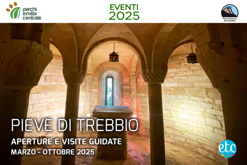 VISITE GUIDATE ALLA PIEVE DI TREBBIO